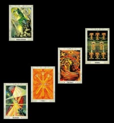 What’s my next step?